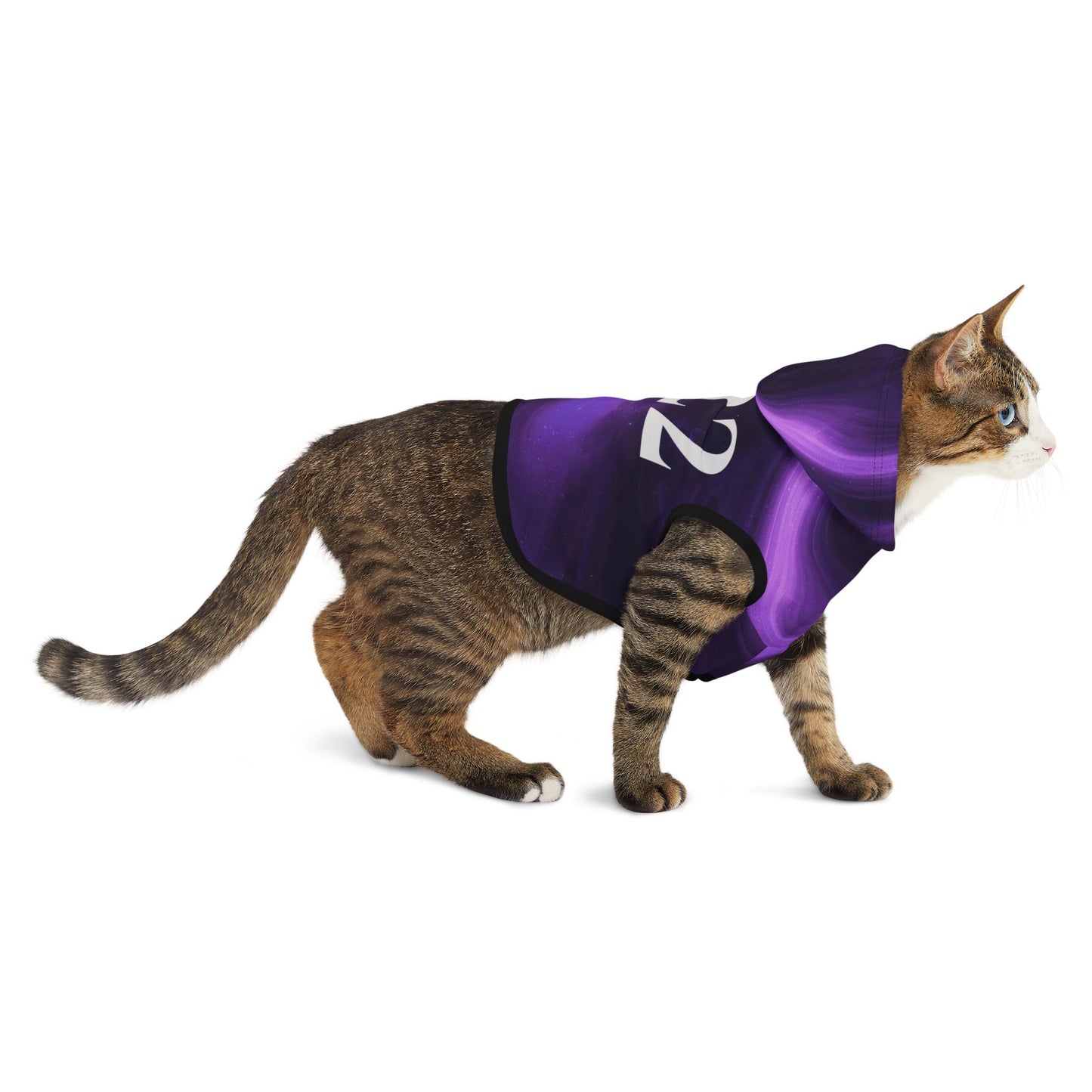 Mystic purple swirl pet hoodie with 222 numerology