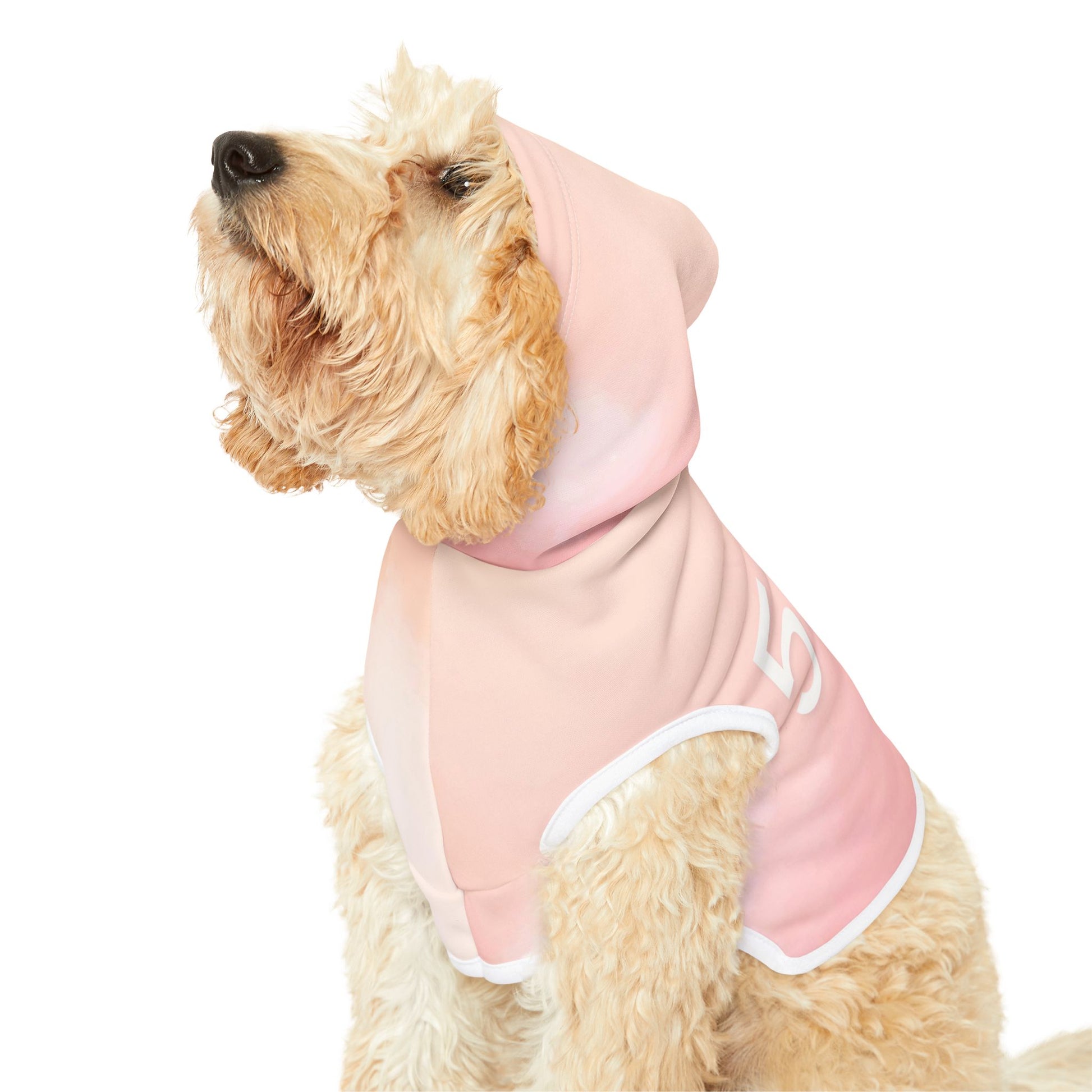 soft pastel gradient hoodie for pets