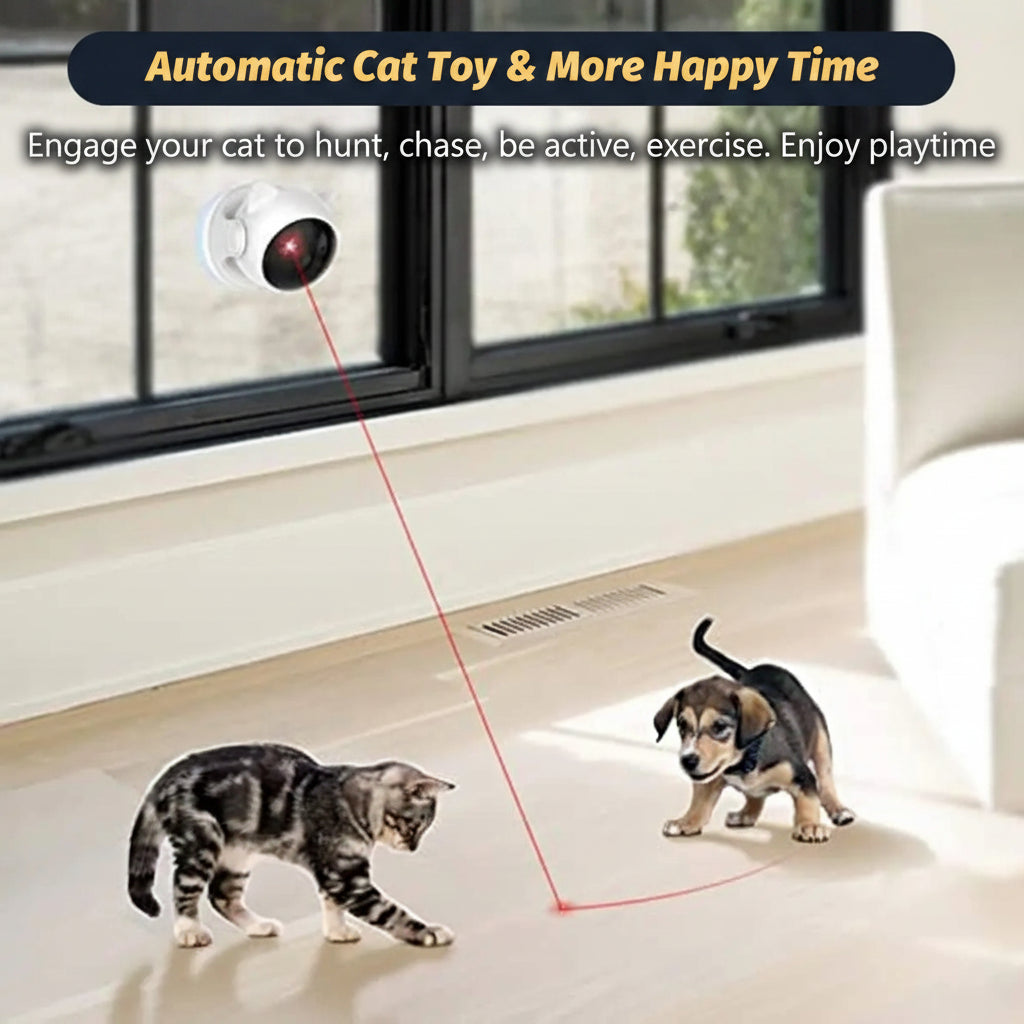 Tabby cat chasing red laser dot projected by PawBeam automatic laser toy on living room floor
