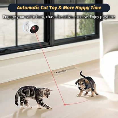 Tabby cat chasing red laser dot projected by PawBeam automatic laser toy on living room floor