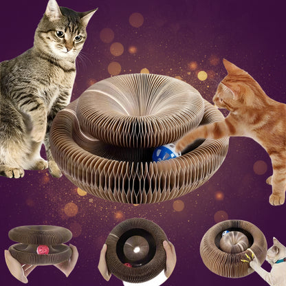 Bengal cat playing with PawCoil™ honeycomb accordion cat toy on wooden floor