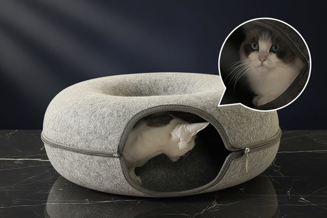 Cat approaching and entering the circular tunnel opening of the PawDen felt cat cave in cave mode