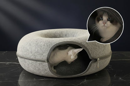 Cat approaching and entering the circular tunnel opening of the PawDen felt cat cave in cave mode