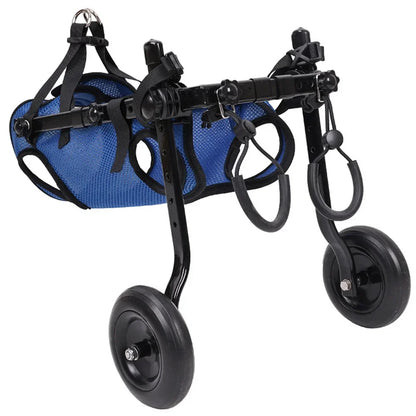 Front view of a French bulldog using a PawRoll adjustable rear-support wheelchair on a tarmac path.