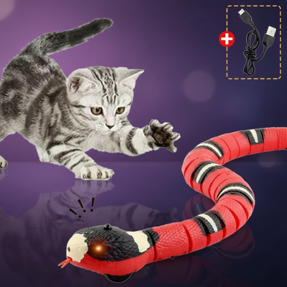 Grey kitten swiping at red and black PawSnake™ smart sensing snake cat toy on teal gradient background, SniffWaggleNWalk