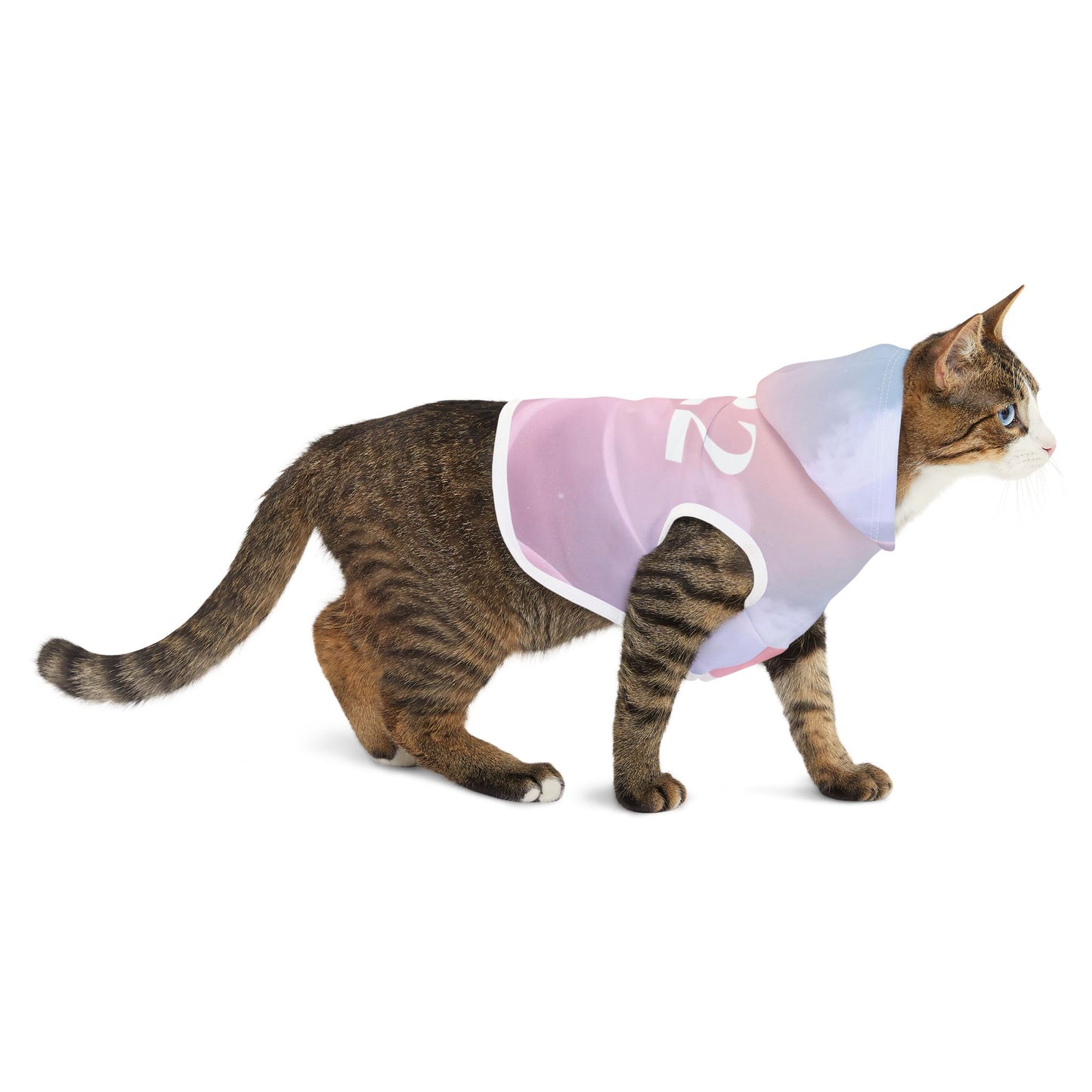 Comfortable hood and neck opening on dog hoodie