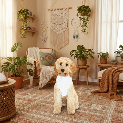 Small dog sitting while wearing white 11:11 angel number hoodie.