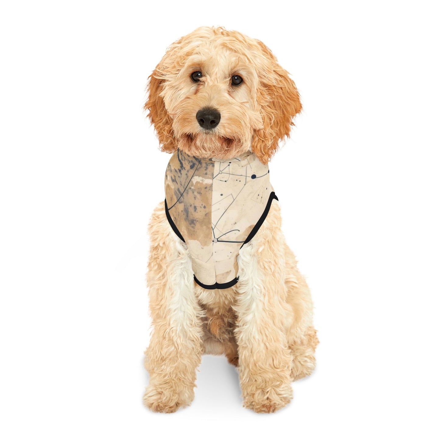 Premium spiritual dog hoodie with black trim