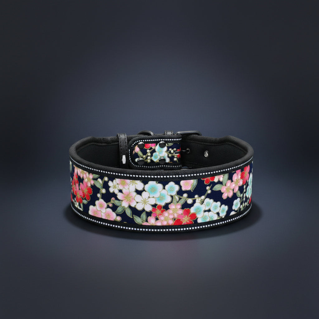 Floral-patterned dog collar with a black strap on a white background