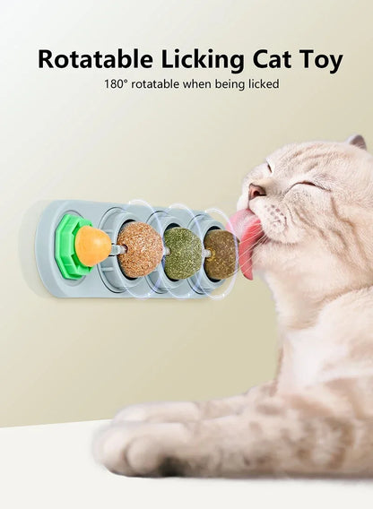 4 in 1 cat enrichment toy set