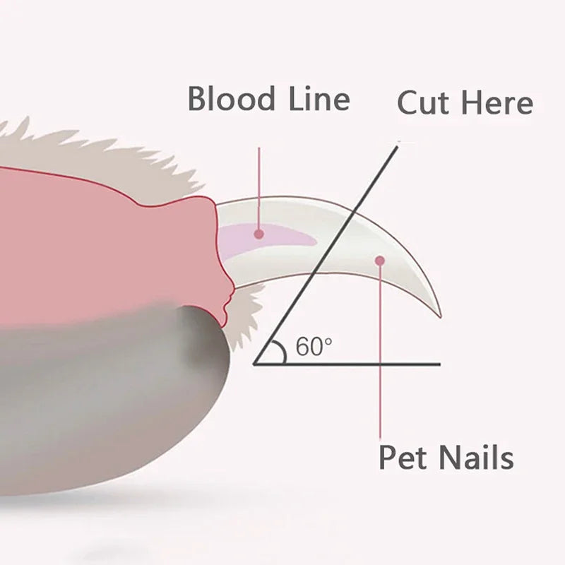 Diagram showing how to trim a pet's nails with labeled blood line and cut angle.
