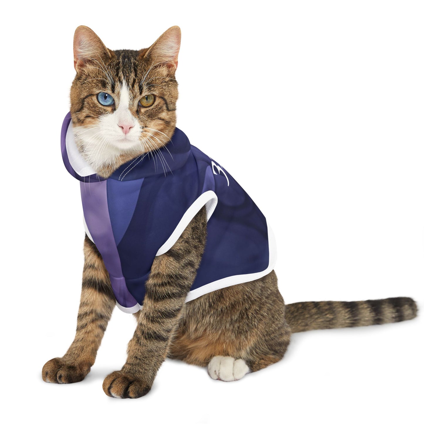 Mystic purple swirl pet outfit with hood