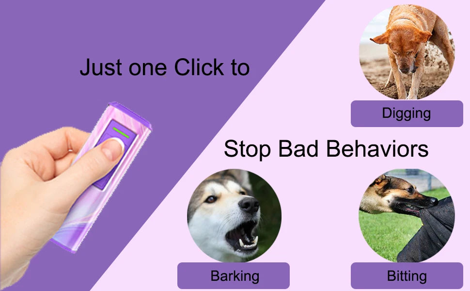 Responsible, humane use of PawShield EchoSafe ultrasonic trainer on neighborhood walk