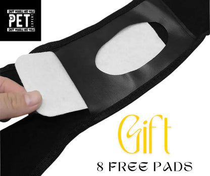 Reusable dog physiological pants made from 100 percent cotton