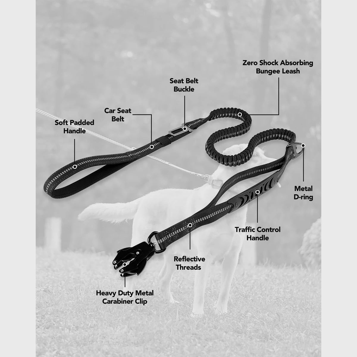 BungeeGuard™ reflective threading glowing at night — Labrador walking on dark path with visible lead