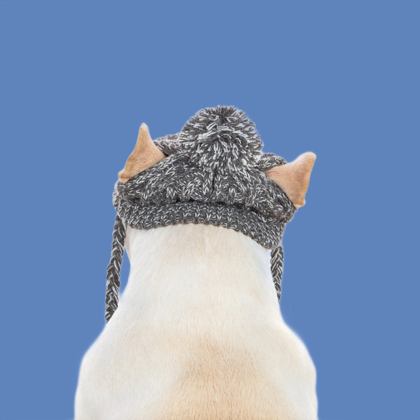 Petstale® Knitted dog hat. - Sniff Waggle And Walk