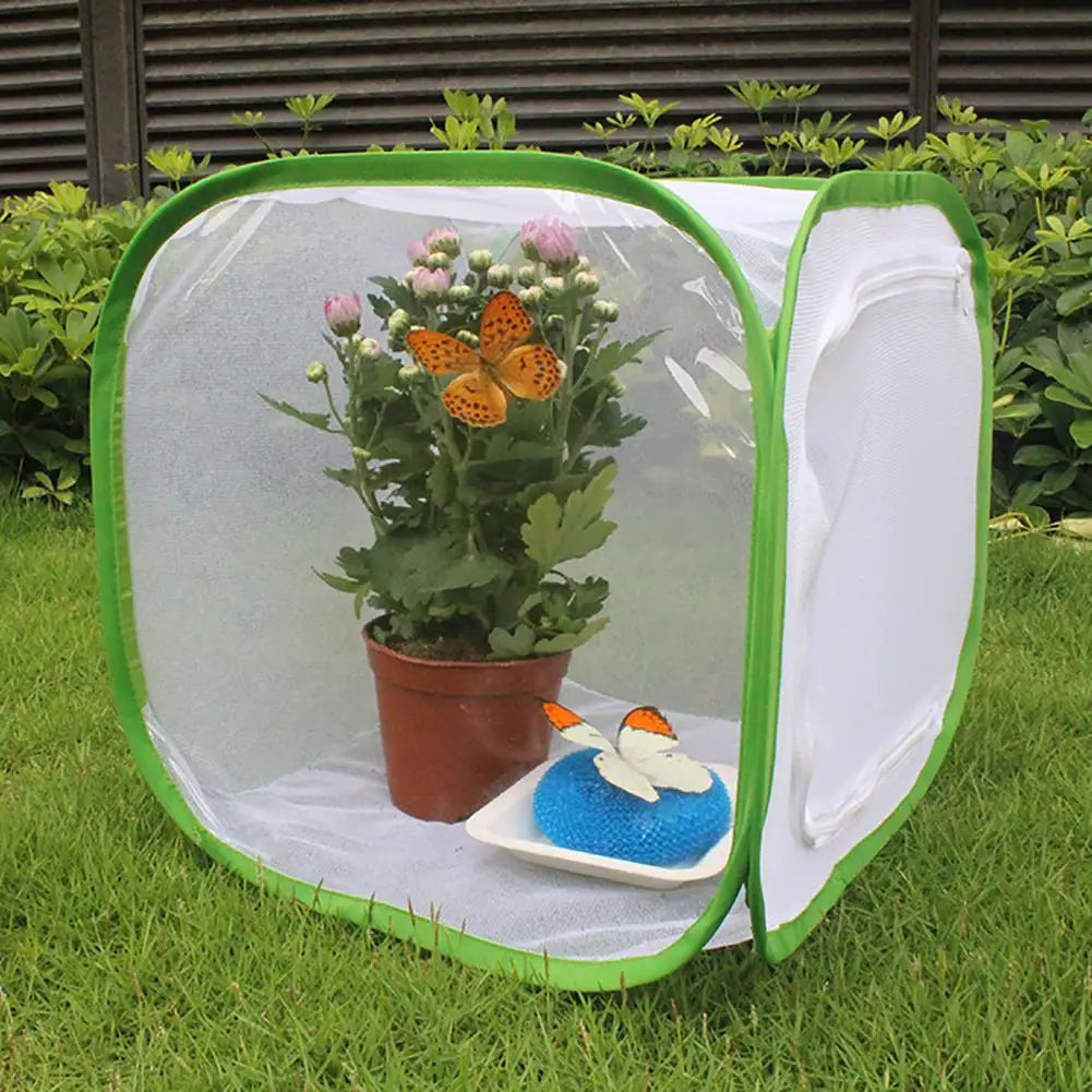 sniffwagglenwalk™ Butterfly Net shielding your beloved plants from curious pets. - Sniff Waggle And Walk