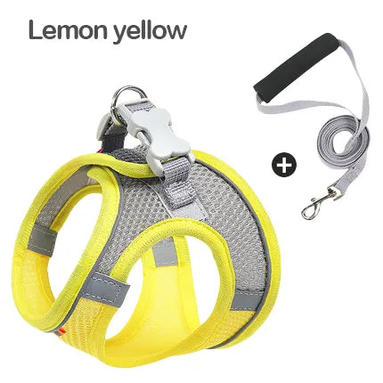 Small dog wearing AirStride™ mint green harness on walk — reflective strips visible, secure velcro and clip fastening