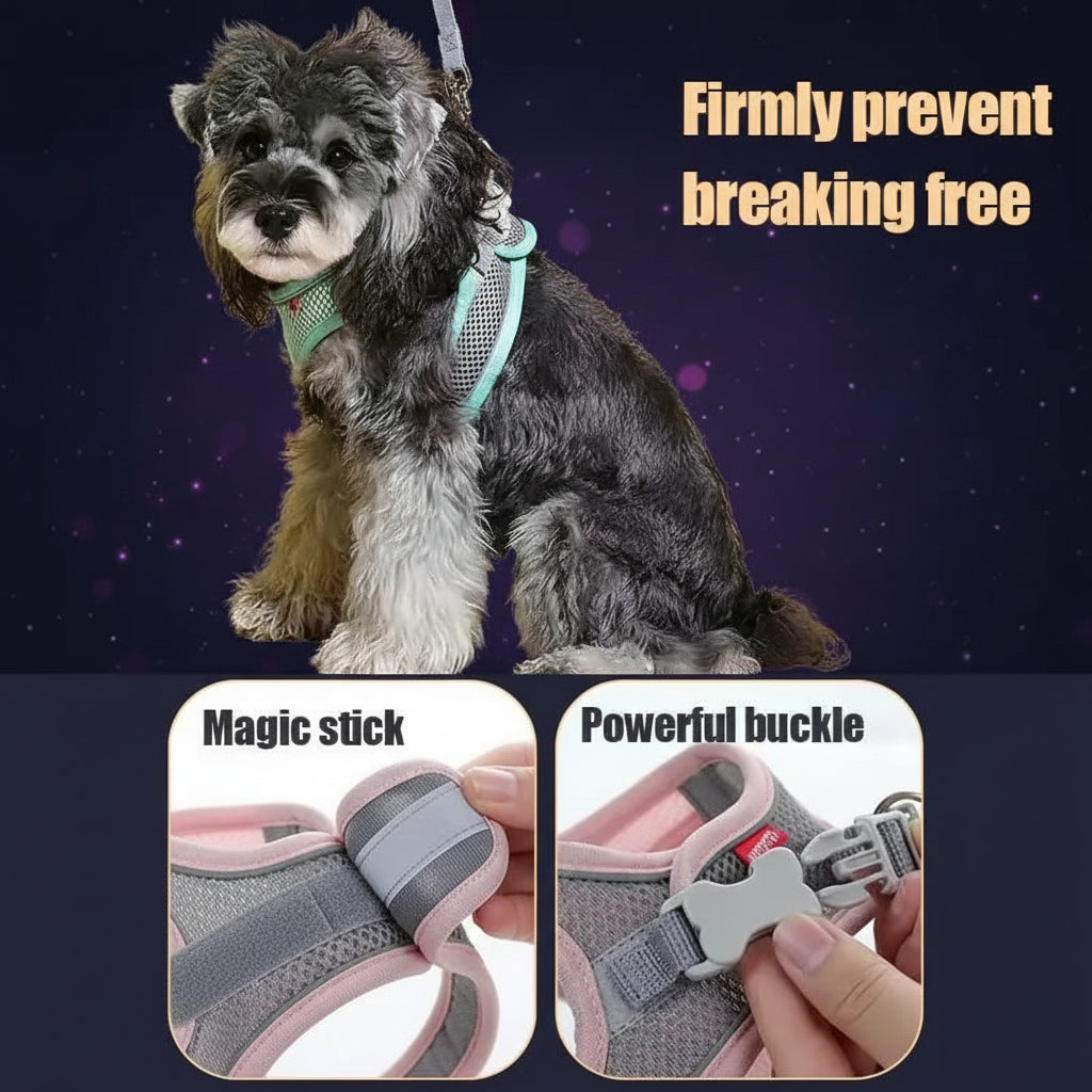 Foam padded handle grip on AirStride™ dog lead — absorbs pull shock on small dog walks