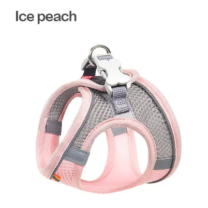 Mint green AirStride™ harness with foam-handle lead set — breathable reflective small dog harness