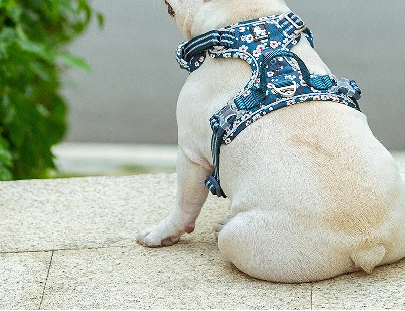 Comfortable everyday floral dog harness for walking, all-season cotton vest