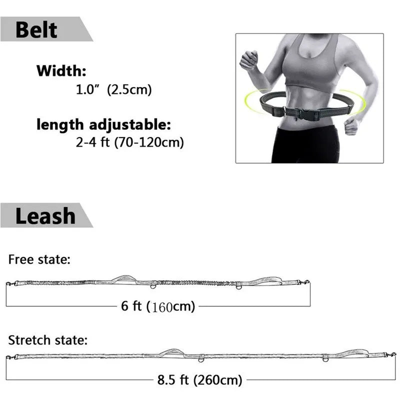 Woman walking Australian Shepherd using SniffWaggleNWalk FreePace™ hands-free bungee lead clipped to waist belt