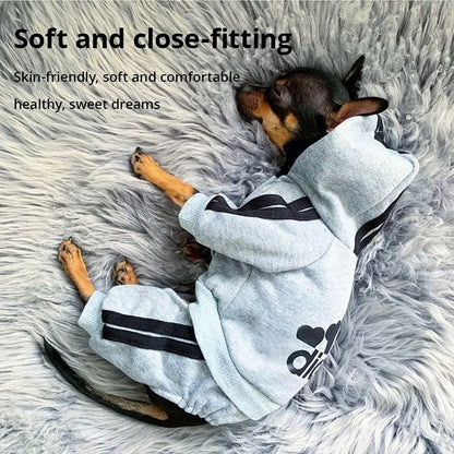 🐾Snifwagglenwalk™ Small/Medium Dog Puppy Outfit - Sniff Waggle And Walk