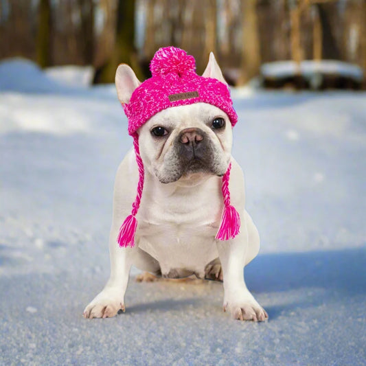 Petstale® Knitted dog hat. - Sniff Waggle And Walk