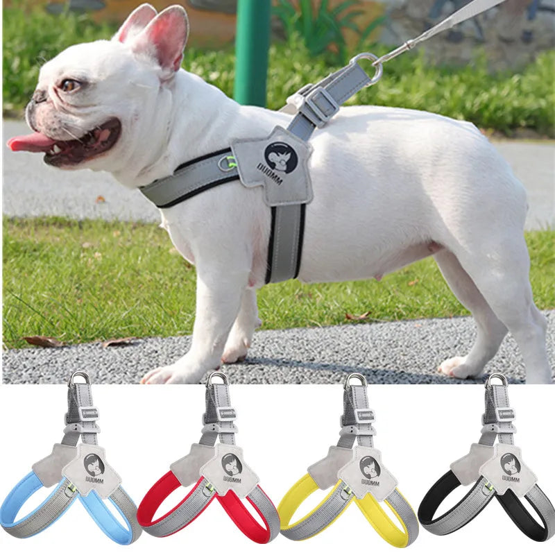 ReflexFit dog harness in blue with padded neoprene chest padding and adjustable reflective strap