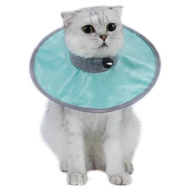 SniffWaggleNWalk soft recovery collar