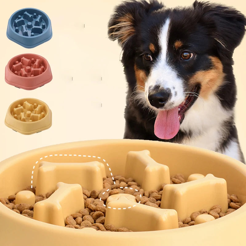 Slow feeder dog bowl in blue with maze-style interior, non-slip base