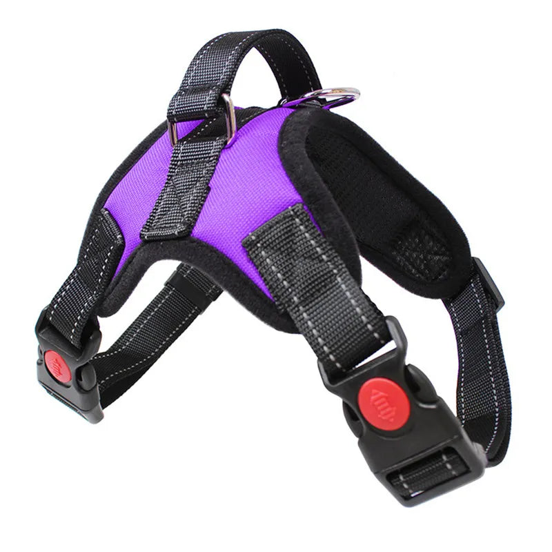 StrideGuard™ red harness on dog — weather-resistant reflective adjustable dog harness, ultra-soft padding and 360° reflective design