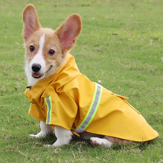 Sniffwagglendwalk® Reflective Raincoat . - Sniff Waggle And Walk