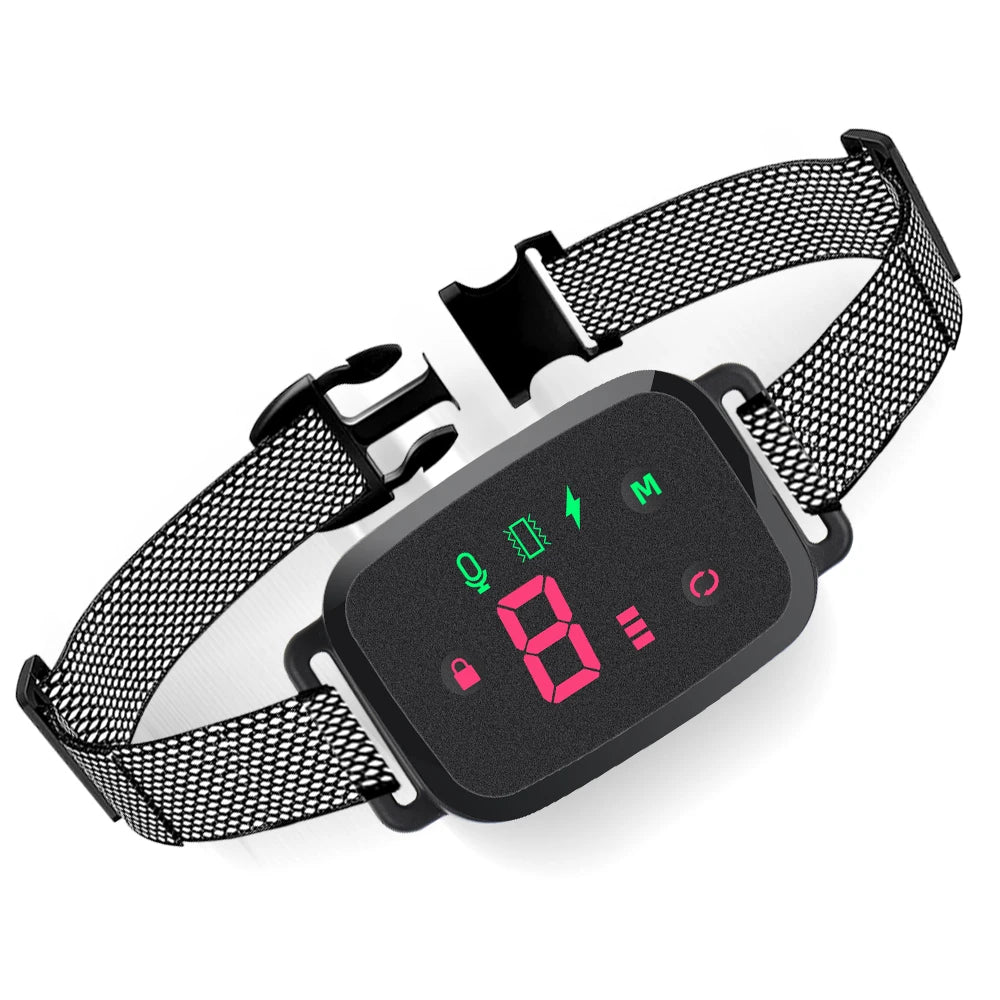 Golden Retriever wearing SmartBark™ anti-bark training collar — automatic no-remote bark detection collar