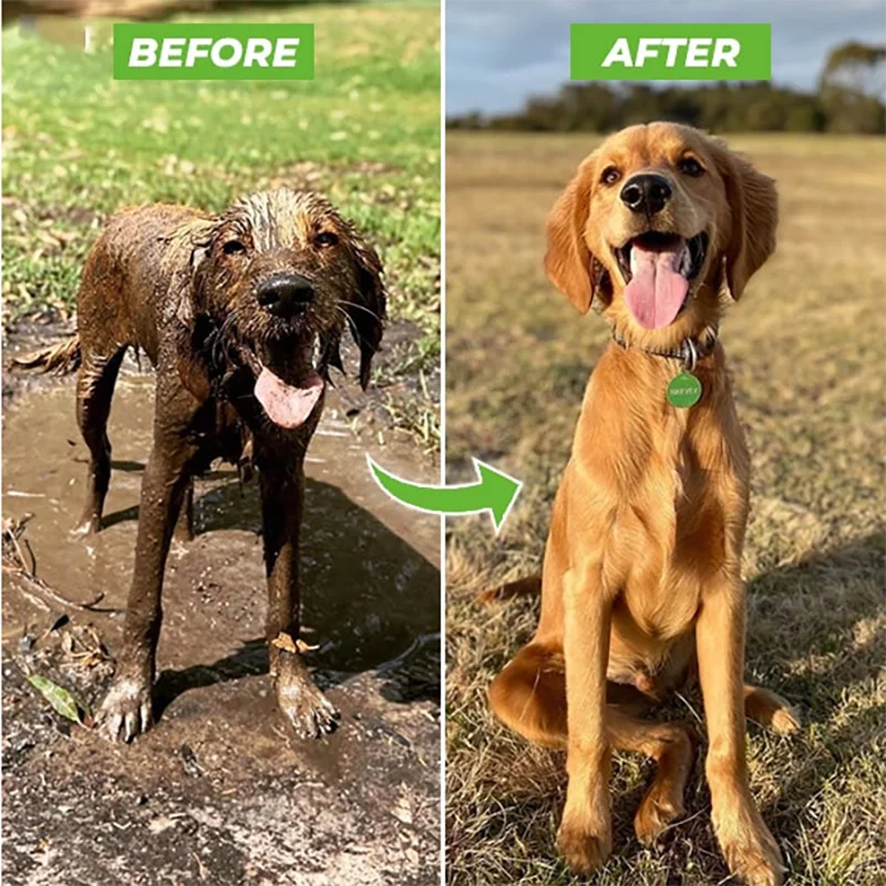 AquaPaws™ HydroHound. High-pressure Dog Shower. - Sniff Waggle And Walk