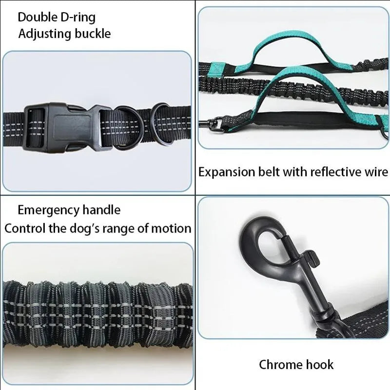 Dual bungee shock absorption diagram — FreePace™ vs single bungee vs no stretch design for running with dogs