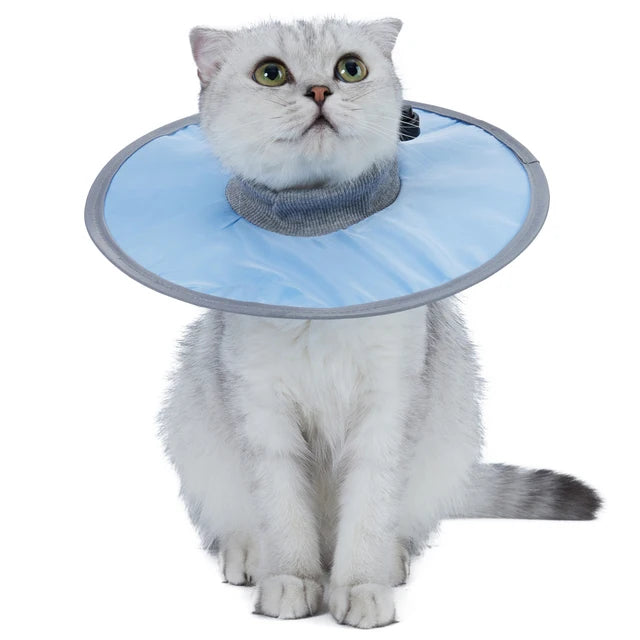 SniffWaggleNWalk soft recovery collar