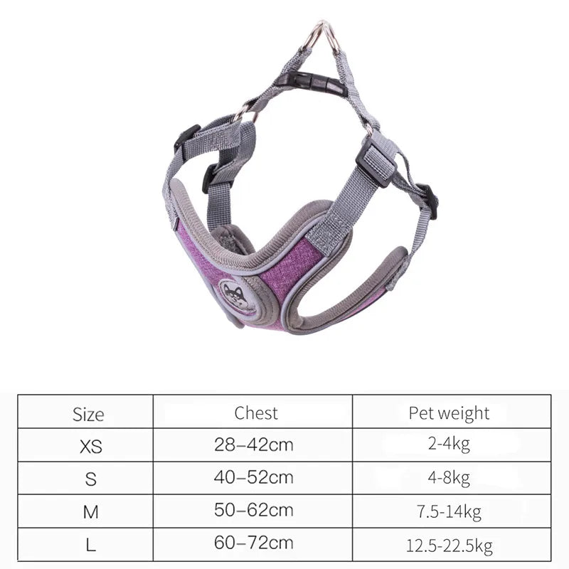 Blue SafeStep™ harness with 1.5m lead set — adjustable nylon straps and swivel clip