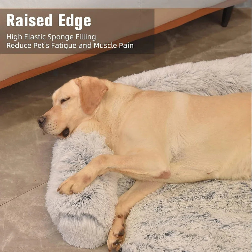 Sniffwagglendwalk® Removable Sofa Bed for Dogs. - Sniff Waggle And Walk