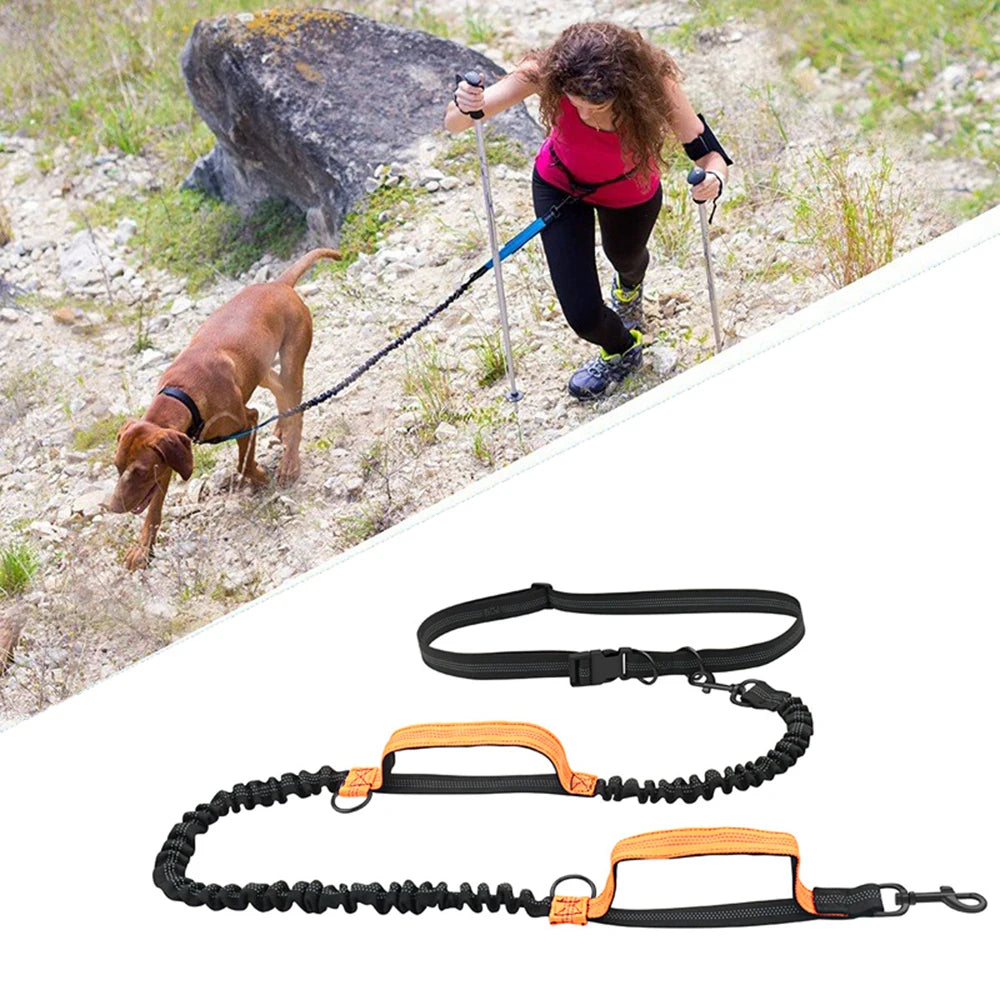 FreePace™ dog running lead in orange — dual bungee sections and padded emergency handles shown flat