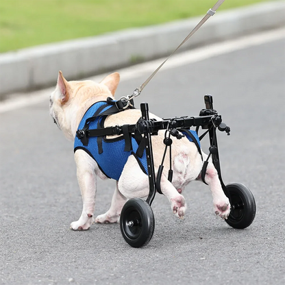 SniffWaggleNWalk™ Wheelchair. - Sniff Waggle And Walk