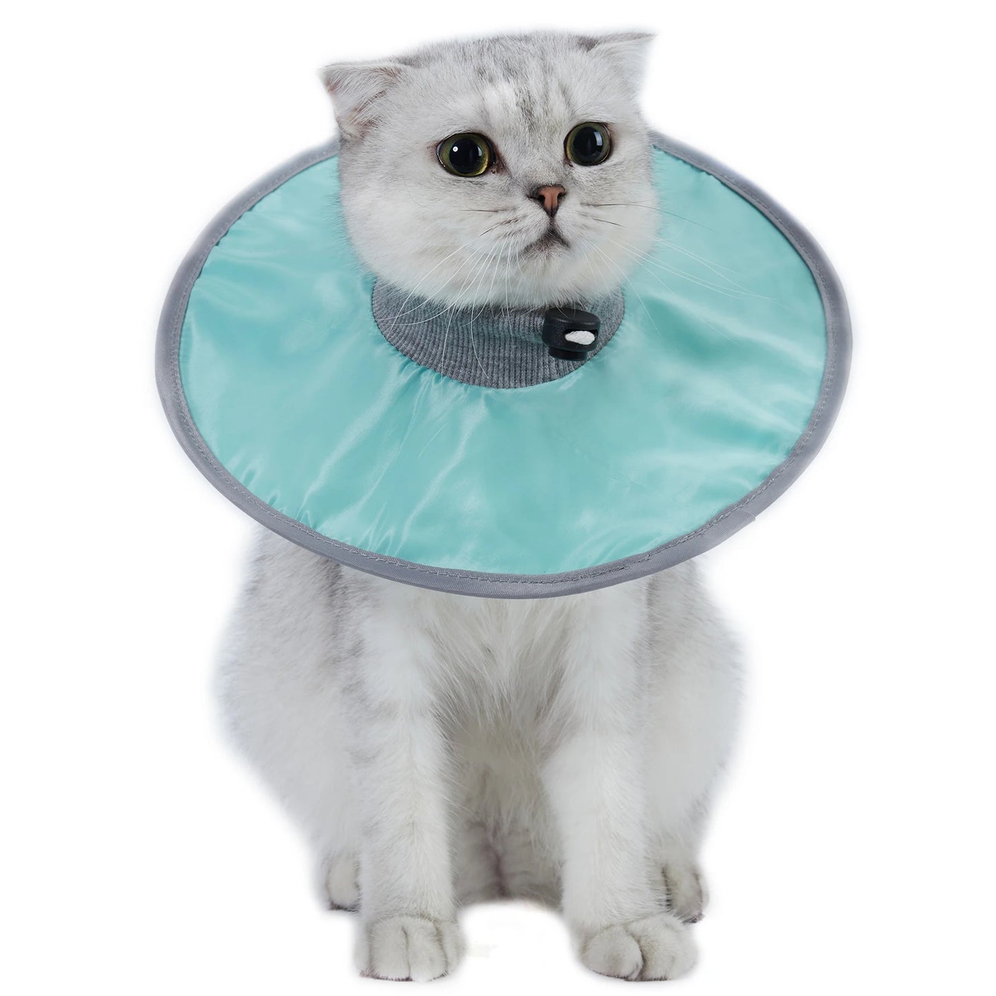 Soft recovery collar for cats in blue, comfortable anti-lick design