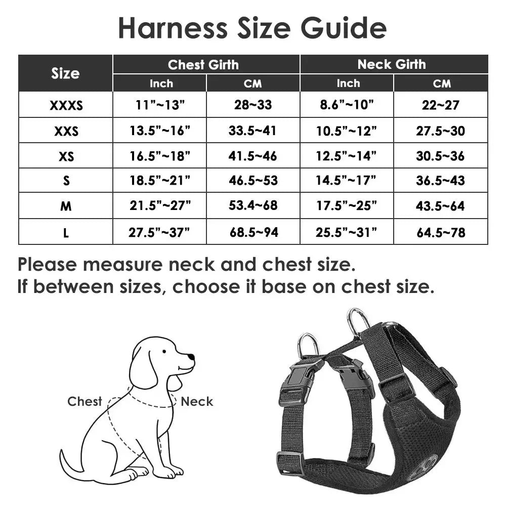 Breathable mesh dog car harness vest, front view