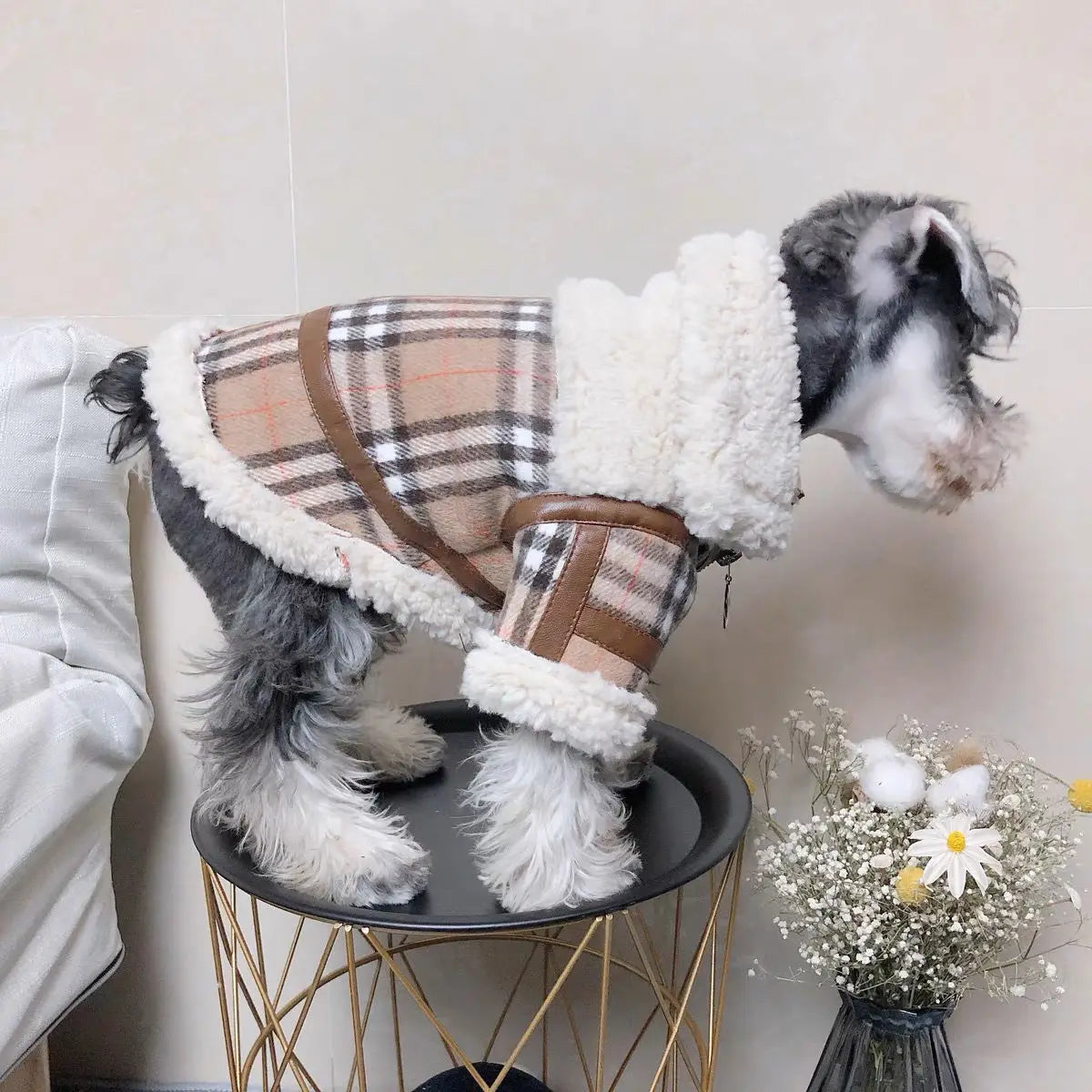 🐾 Snifwagglenwalk™ Cute Winter Dog jacket. - Sniff Waggle And Walk