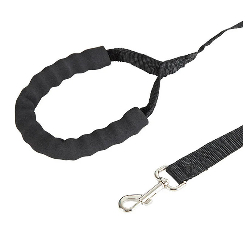 LongLine™ in use on recall training — Golden Retriever at 10m distance on open grass field