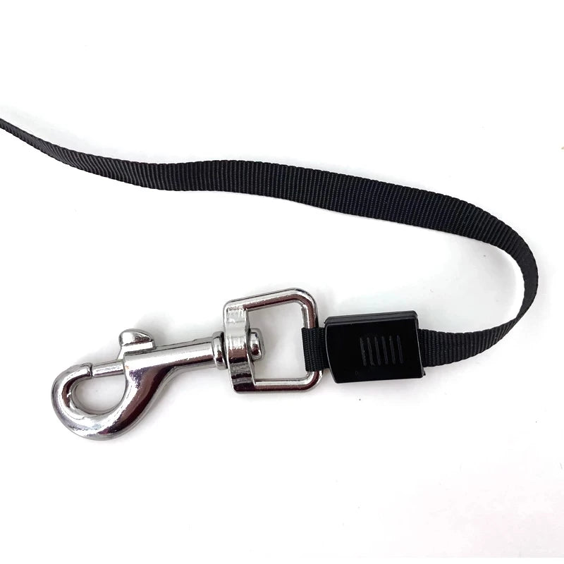 RoamLine retractable dog lead in blue with loosen key and hold-on key buttons labelled on handle