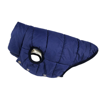 Sniffwagglendwalk® Fleece. - Sniff Waggle And Walk