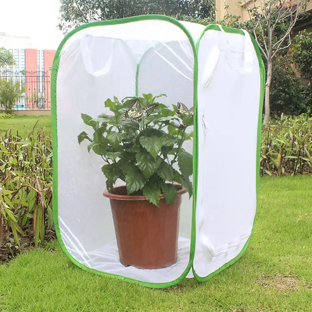 sniffwagglenwalk™ Butterfly Net shielding your beloved plants from curious pets. - Sniff Waggle And Walk