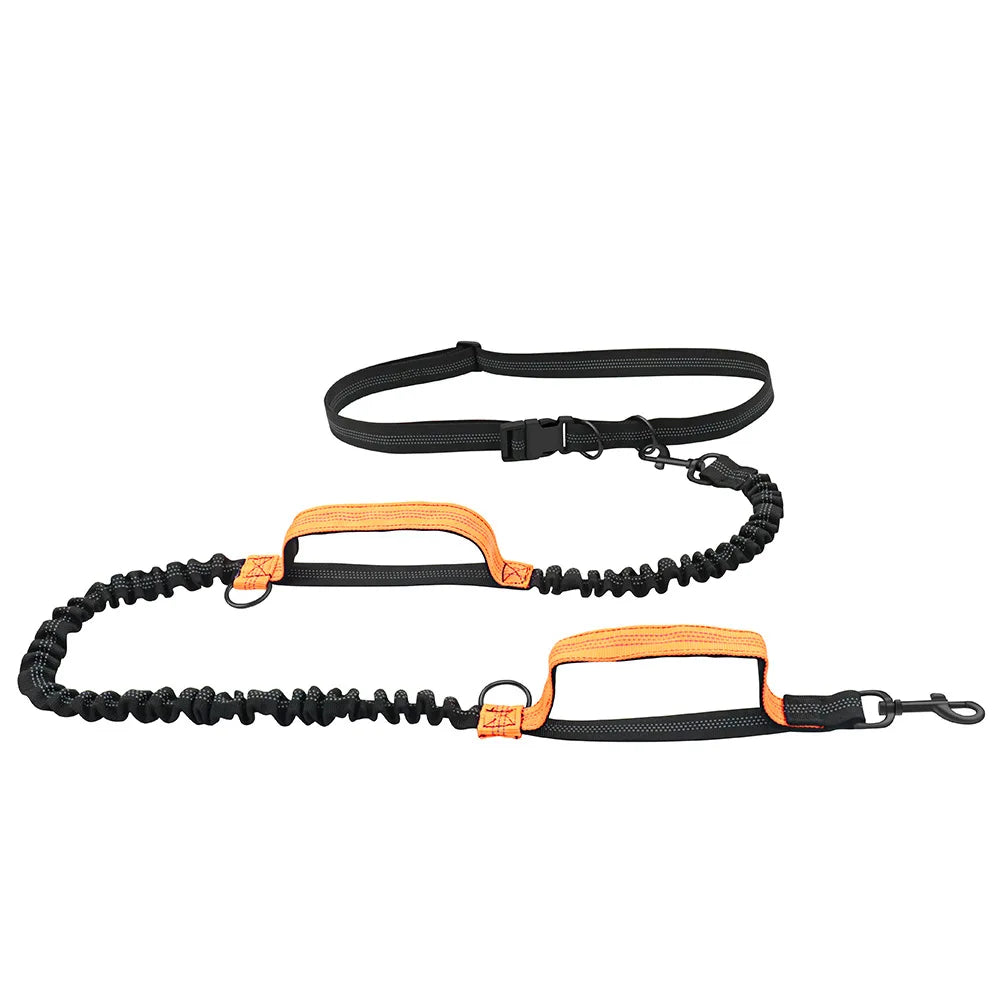 FreePace™ hands-free dog lead in orange — hiker and Vizsla on trail showing full stretch bungee in action