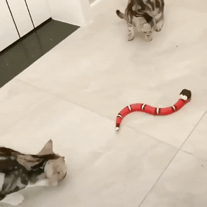 vid of snake toy in use